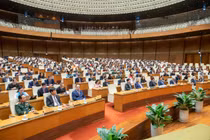 Sau sắp xếp, sẽ kiểm tra chuyên ngành thay vì thanh tra