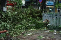 Chi tiết thiệt hại ban đầu do bão Yagi gây ra tại các tỉnh, thành