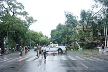 Nhiều tỉnh, thành cho học sinh nghỉ học sau bão số 3 Yagi