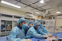 Kỹ thuật cao triển khai tại tuyến tỉnh cứu nhiều ca bệnh nguy kịch