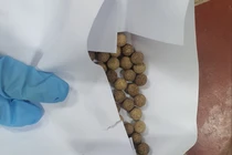 Dùng Đông y chữa tiểu đường người đàn ông hôn mê do chất cấm Phenformin