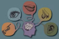 Bác sĩ mách cách thải độc toàn thân để cơ thể khỏe mạnh