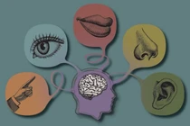 Bác sĩ mách cách thải độc toàn thân để cơ thể khỏe mạnh