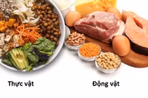 Bác sĩ chỉ rõ biểu hiện cơ thể thiếu Protein ảnh hưởng tới sức khỏe