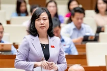 BỘ Trưởng Bộ Y tế Đào Hồng Lan trả lời tại Quốc hội