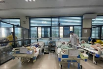 Cứu 2 người hôn mê sâu, ngừng thở sau uống rượu ngâm rễ cây hồi