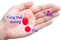 Bấm huyệt tuần hoàn trị bệnh tim, cứu đột quỵ