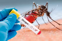 Sốt xuất huyết gia tăng: nhiều gia đình cả người lớn, trẻ nhỏ đều mắc