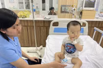 Nhiều trẻ bị sốc phản vệ do ong đốt: Xử lý và phòng tránh thế nào? 