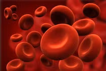 Thiếu sắt gây thiếu máu