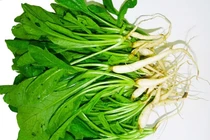 Loài rau là kho chứa canxi, ăn ngon ngọt: người việt không biết toàn bỏ đi