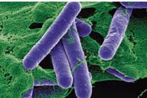 TP HCM: 2 trẻ phải thở máy vì nghi ngộ độc Botulinum toxin