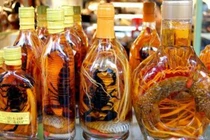 Luận bàn về tửu và cách dùng rượu thuốc giúp người già trường thọ