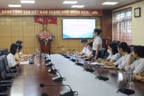 Xây dựng quy trình tiếp nhận, hỗ trợ người bị bạo lực giới và gia đình