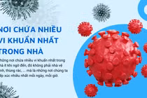 Dọn nhà đón Tết: lưu ý những ổ vi khuẩn đáng sợ nhất ít ngờ tới