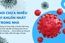Dọn nhà đón Tết: lưu ý những ổ vi khuẩn đáng sợ nhất ít ngờ tới