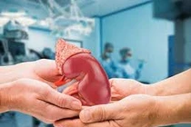 Tiêu chuẩn về hiến thận từ người cho sống