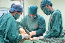 Thiếu nữ 16 tuổi có khối u nang buồng trứng to như thai 6 tháng