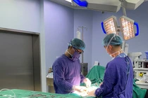 Cẩn thận áp xe mào tinh hoàn do vi khuẩn lao