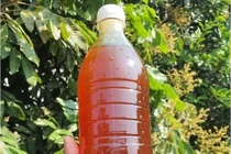 Thời điểm uống mật ong tốt cho sức khỏe