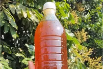 Thời điểm uống mật ong tốt cho sức khỏe