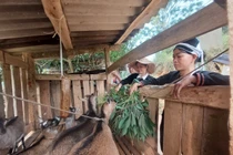 Bước qua định kiến giới, phụ nữ dân tộc khởi nghiệp nâng cao quyền làm chủ