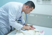 Kỳ tích cứu sống bệnh nhi 11 ngày tuổi mắc tim bẩm sinh hiếm gặp