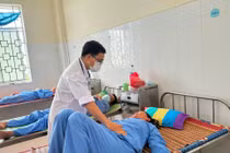 Một gia đình 5 người bị ngộ độc cá nóc: Phòng tránh thế nào?