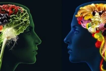 Thực phẩm bổ não và cung cấp năng lượng cho sĩ tử trong mùa thi