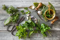 Loại cây cỏ quanh nhà hỗ trợ mất ngủ