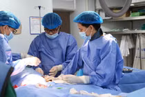 Đặt stent graft hiệu quả vượt trội trong điều trị bệnh lý động mạch chủ