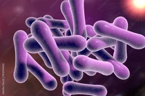 Bác sĩ chia sẻ nguyên nhân gây bệnh bạch hầu