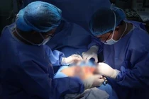 Hy hữu: Đỡ đẻ cho heo, người đàn ông bị heo táp rách sinh dục