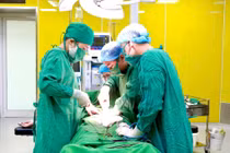 Phẫu thuật thành công bóc tách khối u buồng trứng cho bệnh nhân