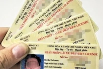 Cấp đổi lại giấy phép lái xe từ 1/1/2025
