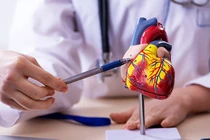 Mắc bệnh động mạch vành cần lưu ý gì khi du lịch?