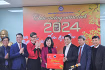 Bệnh nhân khám, cấp cứu 7 ngày nghỉ Tết Giáp thìn tăng 33%