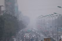 Cách phòng chống các bệnh khi sương mù dày đặc và độ ẩm cao