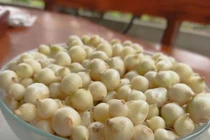 Hành tăm chữa nhiều bệnh rất độc đáo nhiều người chưa biết