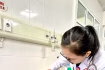 Dọn vườn người đàn ông bị ong vàng đốt khắp người: Cách gì phòng tránh