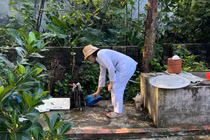 403 trường hợp mắc sốt xuất huyết trong 1 tuần tại Hà Nội