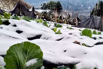 Thời tiết ngày 27/12: Miền Bắc có nơi rét đậm rét hại