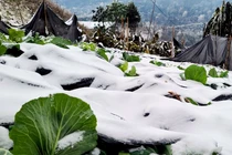 Thời tiết ngày 27/12: Miền Bắc có nơi rét đậm rét hại