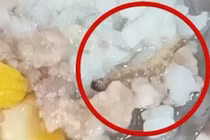 Vụ SV ĐHBK Hà Nội ăn cơm canh thừa, trách nhiệm thuộc về ai? 