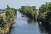 Giám đốc công ty bị phạt 800 triệu đồng vì xả thải ra môi trường