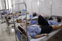 Bộ Y tế chỉ đạo điều tra, làm rõ vụ 46 công nhân nghi ngộ độc