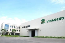 Vinaseed bị phạt và truy thu thuế hơn 1,3 tỷ đồng
