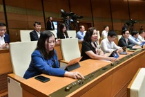 Thông qua Luật Nhà ở, chỉnh lý quy định về chung cư mini