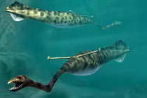 Hé lộ siêu quái vật là nỗi ám ảnh của đại dương thời cổ đại 