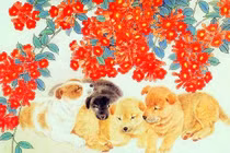 Từ 2024 - 2028: Ba con giáp hiền lương hưởng lộc, hốt bạc giàu to